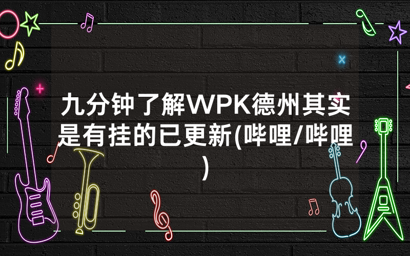 九分钟了解WPK德州其实是有挂的已更新(哔哩/哔哩)