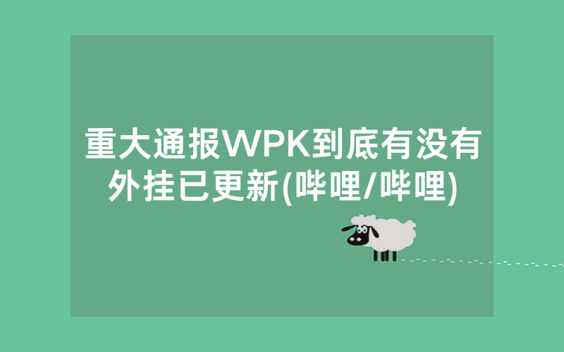 重大通报WPK到底有没有外挂已更新(哔哩/哔哩)