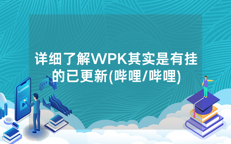 详细了解WPK其实是有挂的已更新(哔哩/哔哩)