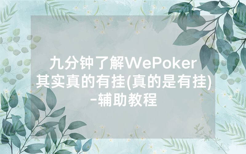 九分钟了解WePoker其实真的有挂(真的是有挂)-辅助教程