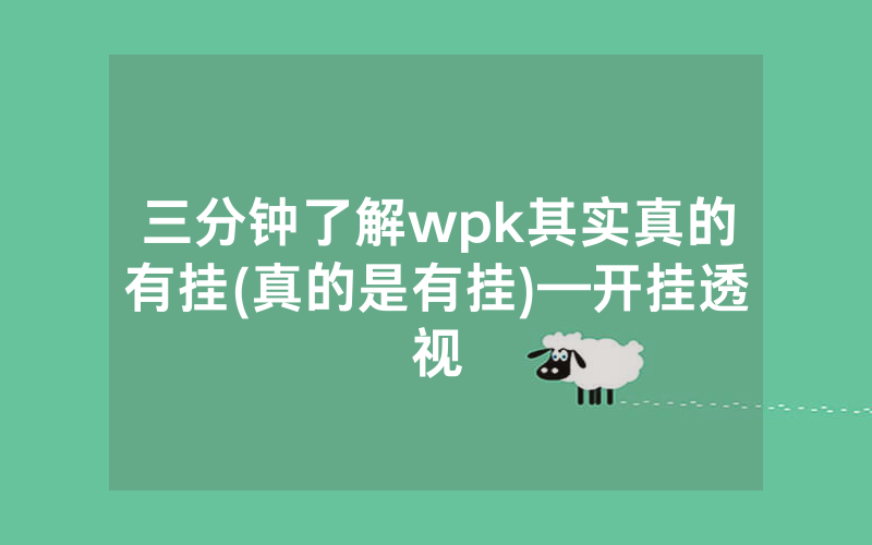 三分钟了解wpk其实真的有挂(真的是有挂)—开挂透视