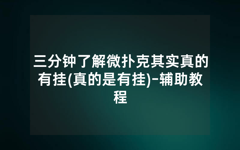 三分钟了解微扑克其实真的有挂(真的是有挂)-辅助教程