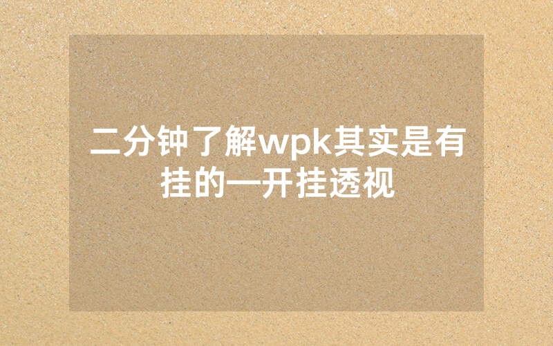 二分钟了解wpk其实是有挂的—开挂透视