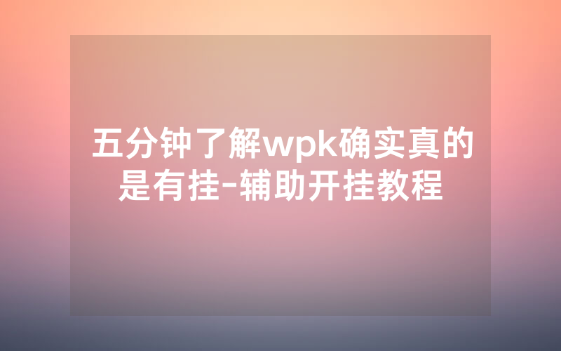 五分钟了解wpk确实真的是有挂-辅助开挂教程