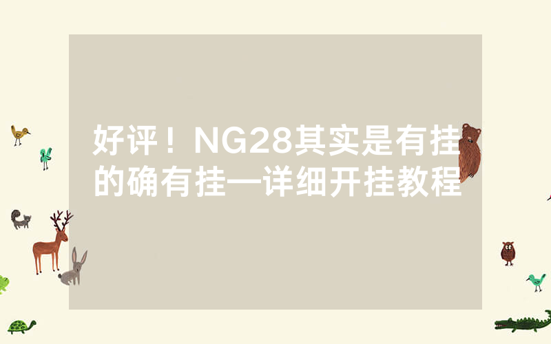 好评！NG28其实是有挂的确有挂—详细开挂教程