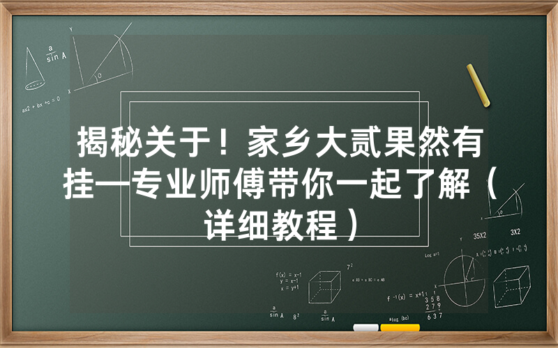 揭秘关于！家乡大贰果然有挂—专业师傅带你一起了解（详细教程）