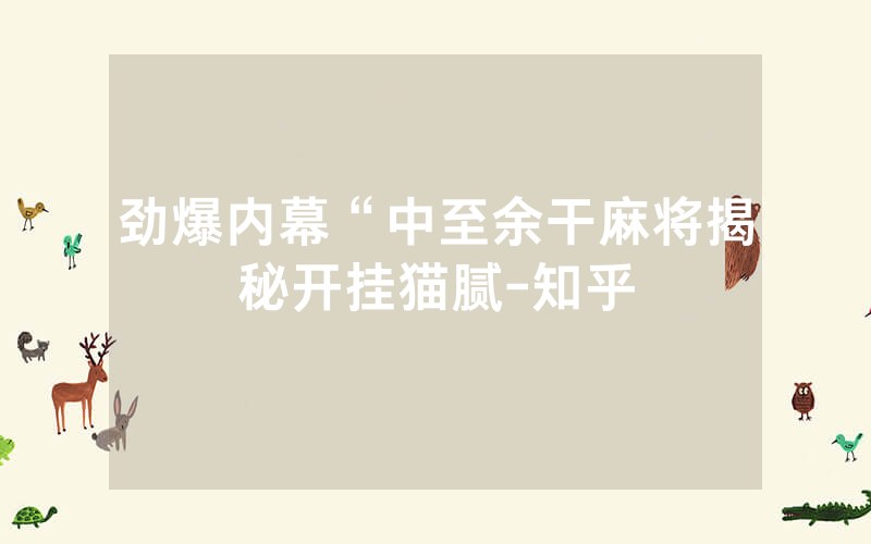 劲爆内幕“中至余干麻将揭秘开挂猫腻-知乎