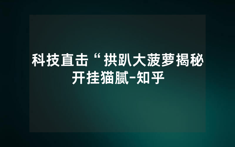 科技直击“拱趴大菠萝揭秘开挂猫腻-知乎