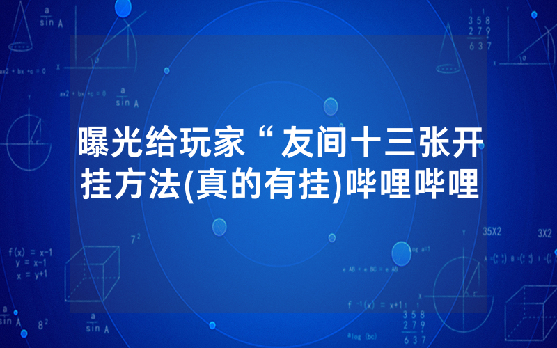 曝光给玩家“友间十三张开挂方法(真的有挂)哔哩哔哩