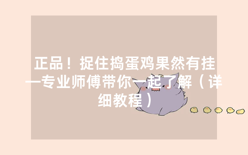 正品！捉住捣蛋鸡果然有挂—专业师傅带你一起了解（详细教程）