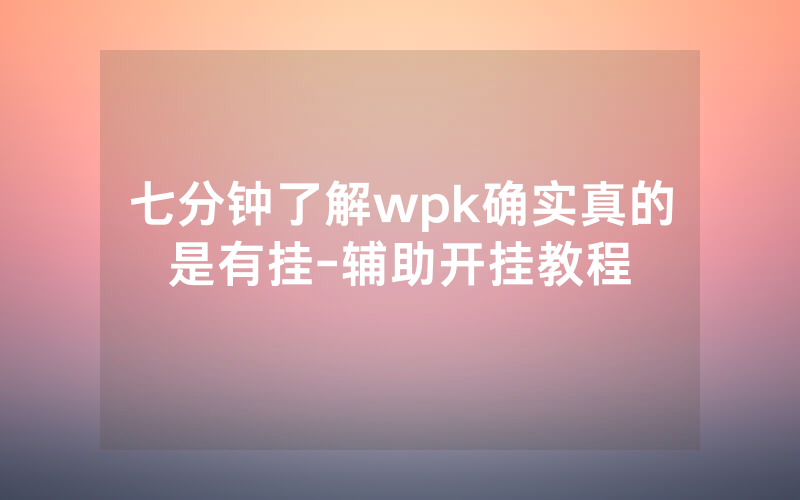 七分钟了解wpk确实真的是有挂-辅助开挂教程