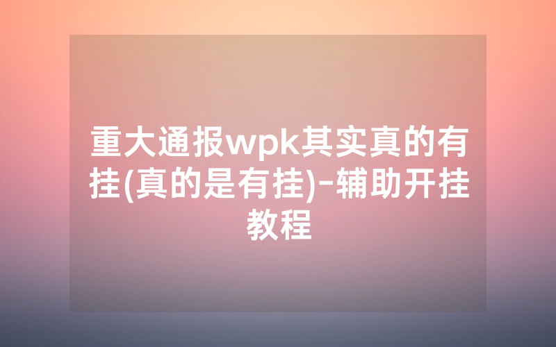 重大通报wpk其实真的有挂(真的是有挂)-辅助开挂教程