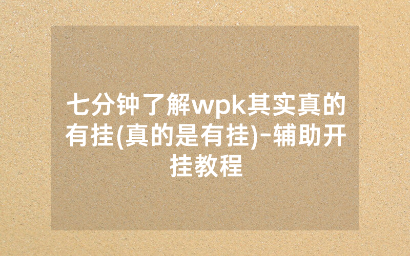 七分钟了解wpk其实真的有挂(真的是有挂)-辅助开挂教程