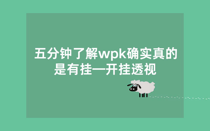 五分钟了解wpk确实真的是有挂—开挂透视