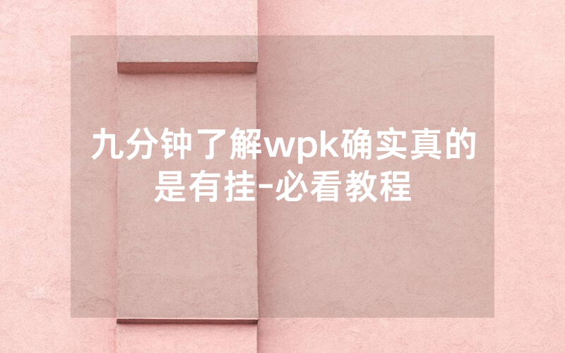 九分钟了解wpk确实真的是有挂-必看教程