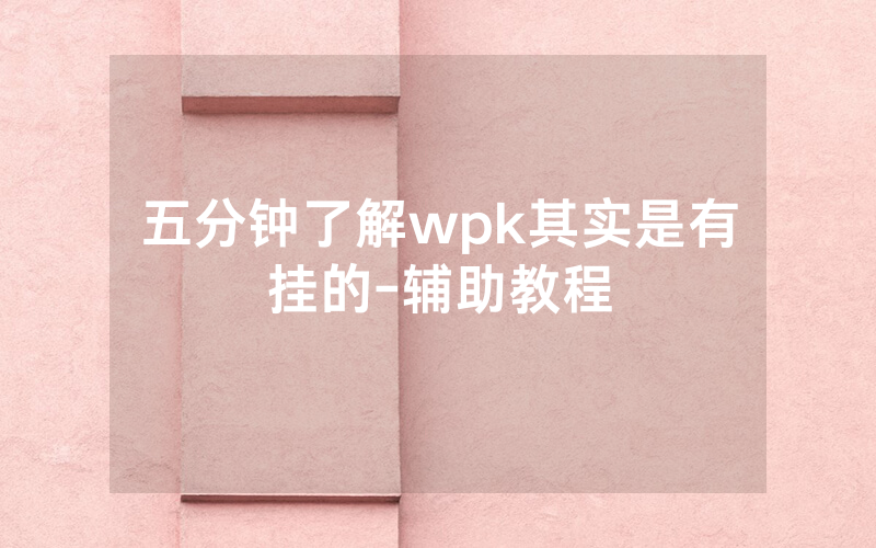五分钟了解wpk其实是有挂的-辅助教程