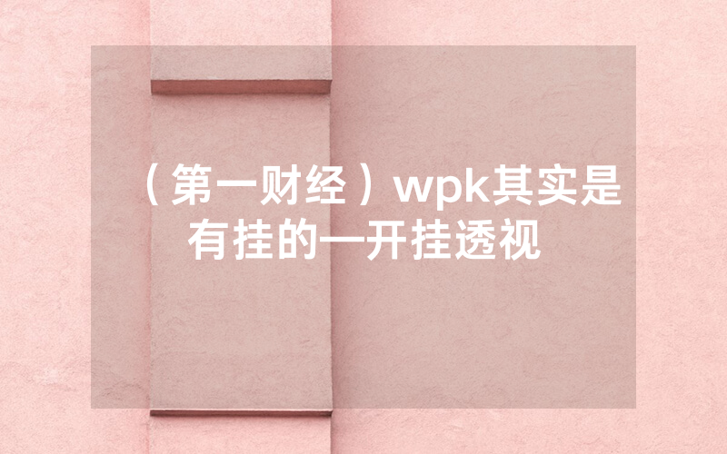 （第一财经）wpk其实是有挂的—开挂透视