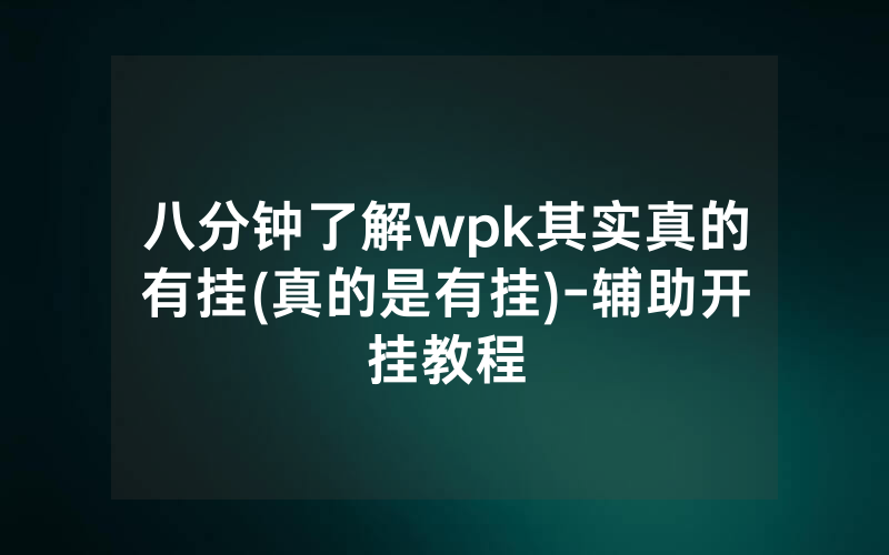 八分钟了解wpk其实真的有挂(真的是有挂)-辅助开挂教程