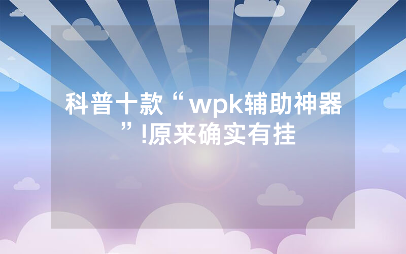 科普十款“wpk辅助神器”!原来确实有挂