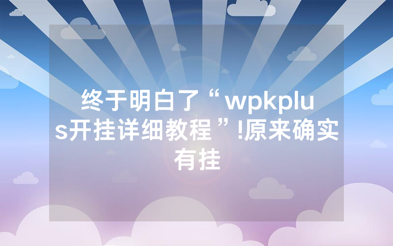 终于明白了“wpkplus开挂详细教程”!原来确实有挂