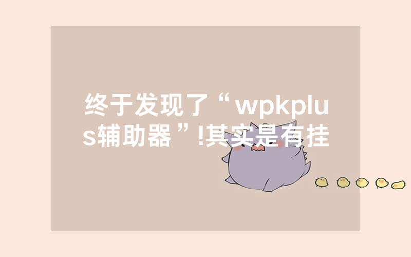 终于发现了“wpkplus辅助器”!其实是有挂