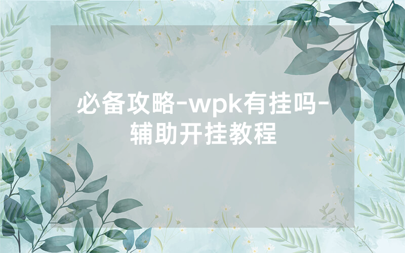 必备攻略-wpk有挂吗-辅助开挂教程