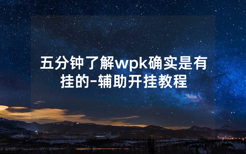五分钟了解wpk确实是有挂的-辅助开挂教程