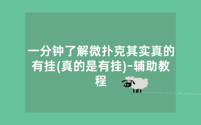 一分钟了解微扑克其实真的有挂(真的是有挂)-辅助教程