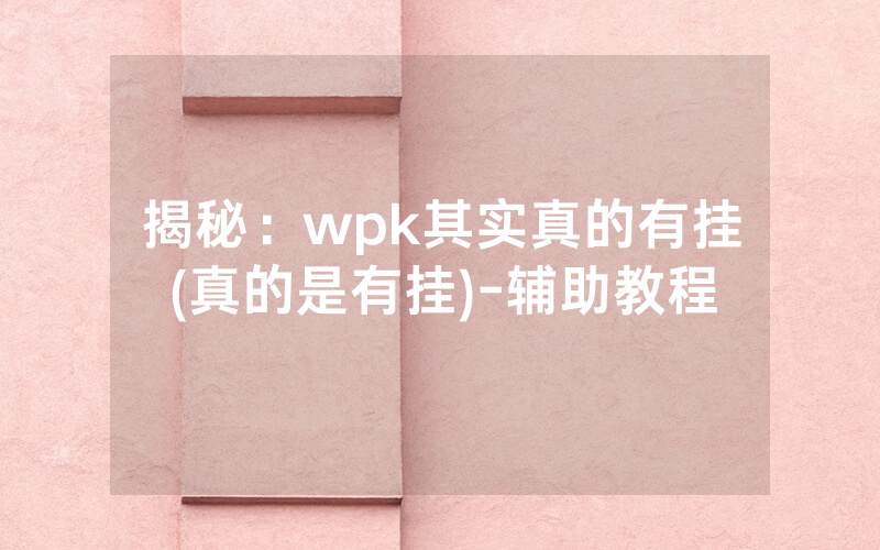 揭秘：wpk其实真的有挂(真的是有挂)-辅助教程