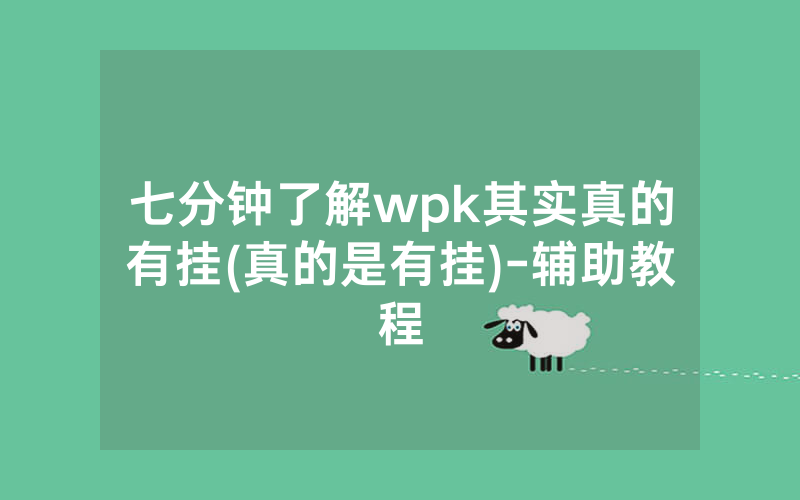 七分钟了解wpk其实真的有挂(真的是有挂)-辅助教程