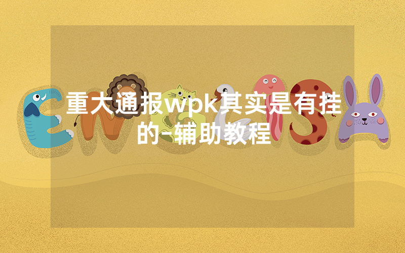 重大通报wpk其实是有挂的-辅助教程