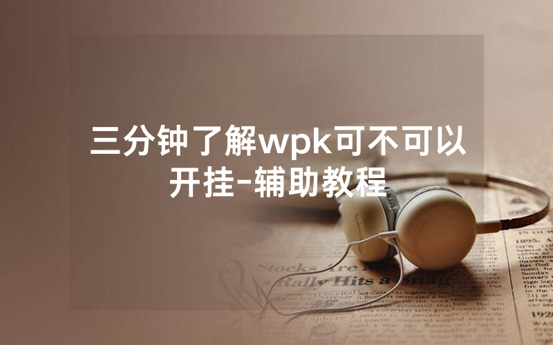 三分钟了解wpk可不可以开挂-辅助教程