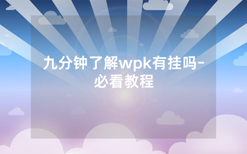 九分钟了解wpk有挂吗-必看教程