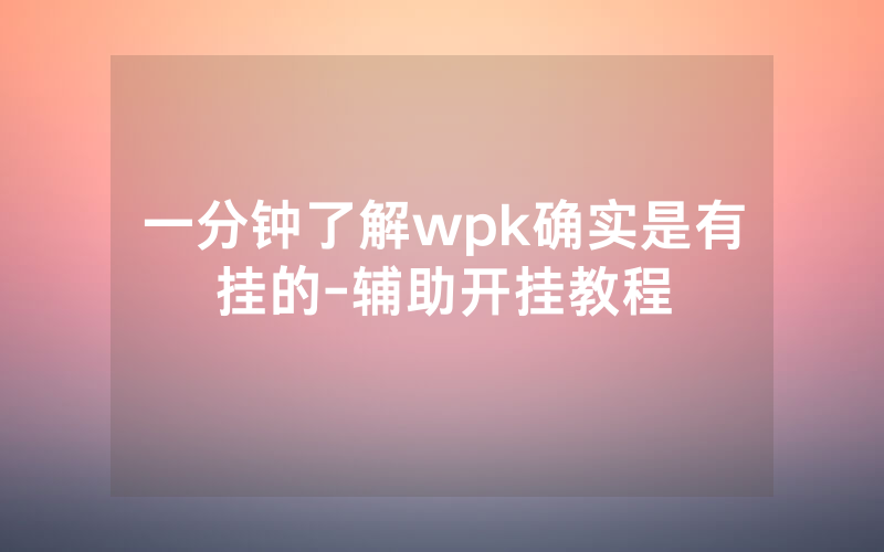 一分钟了解wpk确实是有挂的-辅助开挂教程
