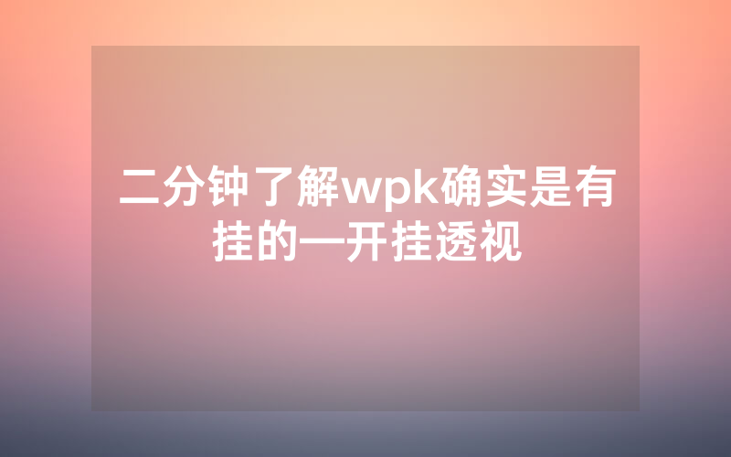二分钟了解wpk确实是有挂的—开挂透视