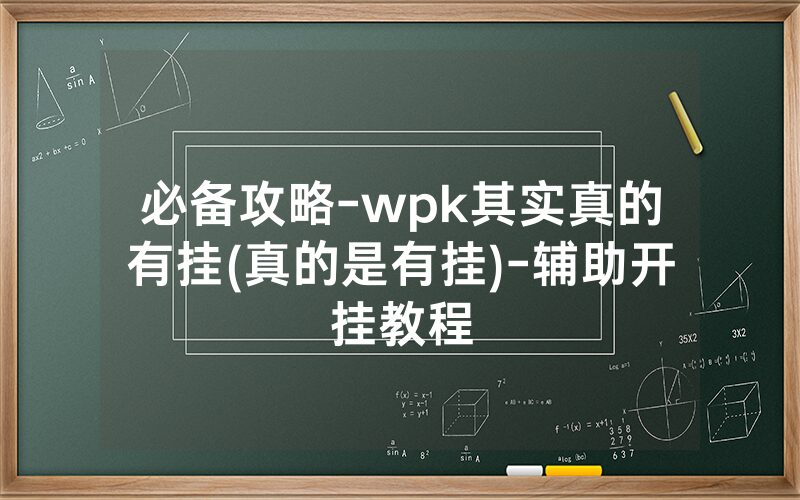 必备攻略-wpk其实真的有挂(真的是有挂)-辅助开挂教程