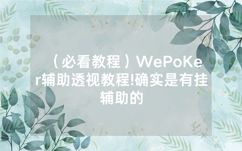 （必看教程）WePoKer辅助透视教程!确实是有挂辅助的