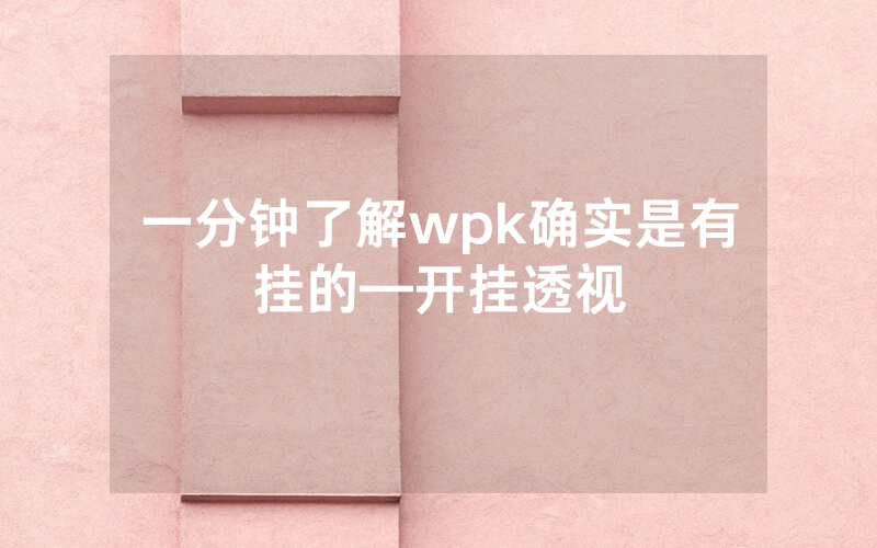 一分钟了解wpk确实是有挂的—开挂透视