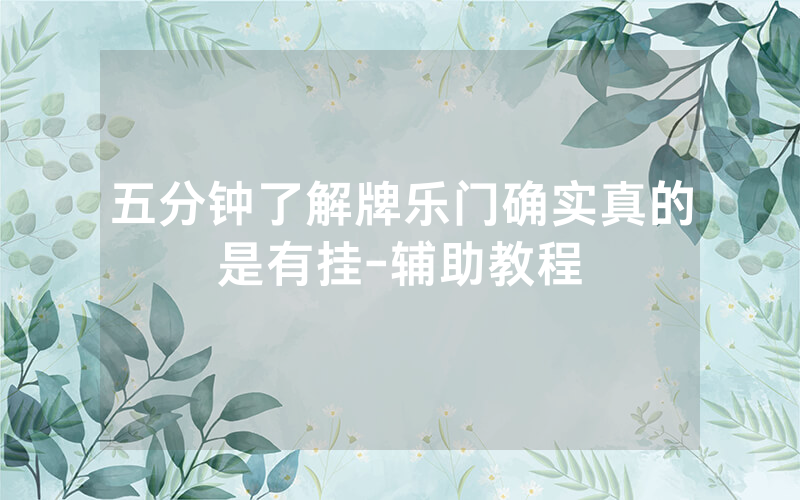 五分钟了解牌乐门确实真的是有挂-辅助教程