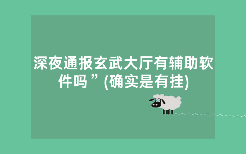 深夜通报玄武大厅有辅助软件吗”(确实是有挂)