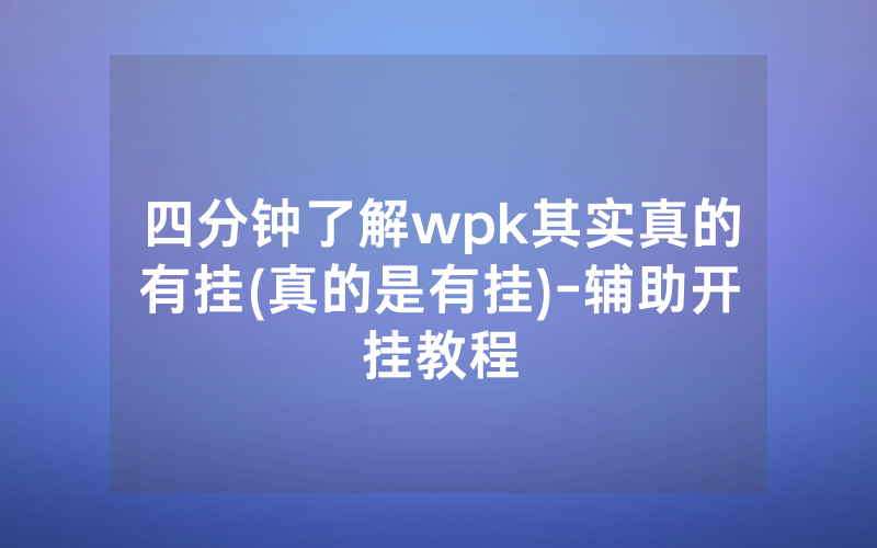 四分钟了解wpk其实真的有挂(真的是有挂)-辅助开挂教程