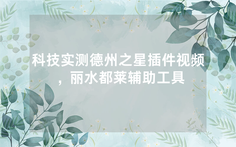 科技实测德州之星插件视频，丽水都莱辅助工具