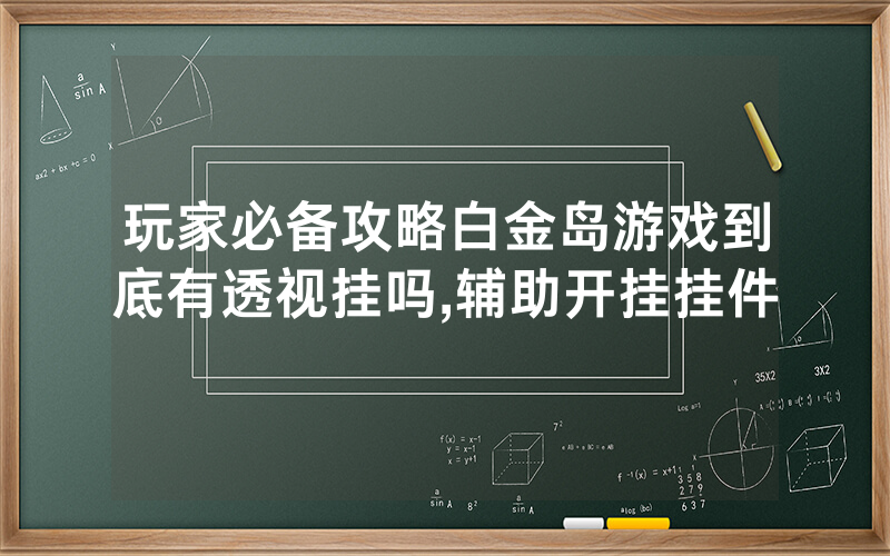 玩家必备攻略白金岛游戏到底有透视挂吗,辅助开挂挂件