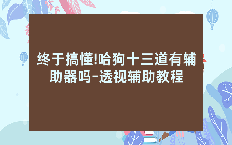终于搞懂!哈狗十三道有辅助器吗-透视辅助教程