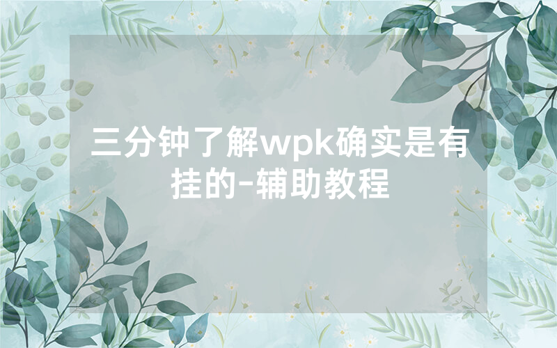 三分钟了解wpk确实是有挂的-辅助教程