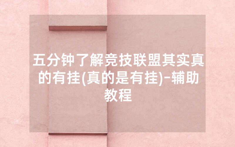 五分钟了解竞技联盟其实真的有挂(真的是有挂)-辅助教程