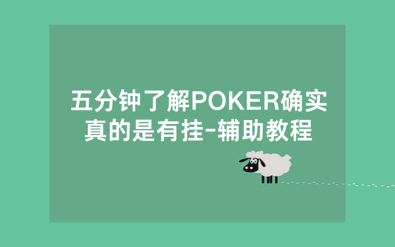五分钟了解POKER确实真的是有挂-辅助教程