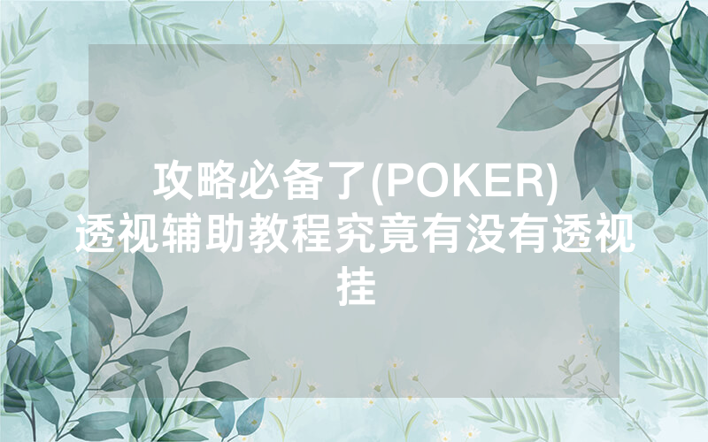 攻略必备了(POKER)透视辅助教程究竟有没有透视挂