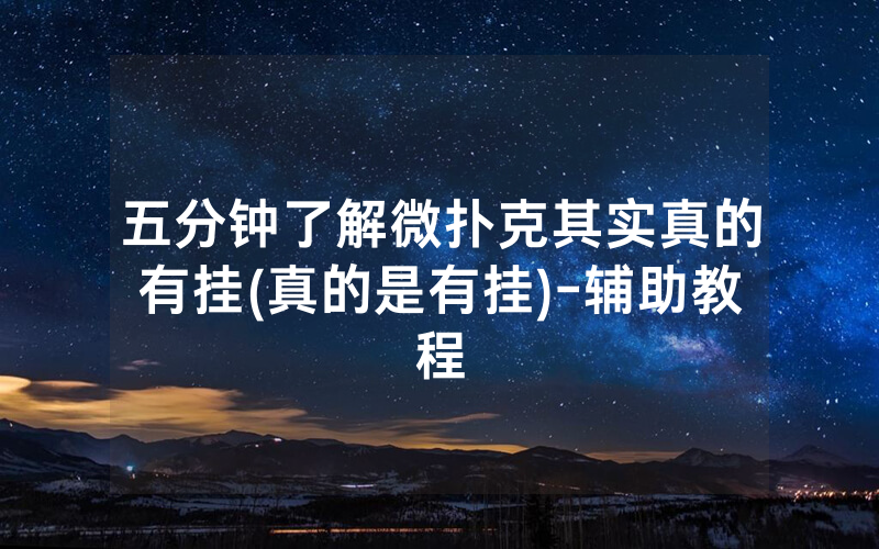 五分钟了解微扑克其实真的有挂(真的是有挂)-辅助教程