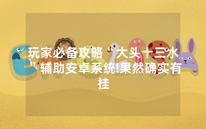 玩家必备攻略“大头十三水”辅助安卓系统!果然确实有挂